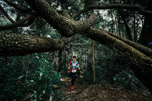 BIB: 
                            <button type="button" onclick="openModal(25705291)" class="btn btn-primary btn-sm float-right btn-popup" data-toggle="modal" data-target=".modal-high-quality">
                        <i class="fas fa-shopping-cart"></i> Add to Cart
                    </button>
                                            <button type="button" onclick="isThisMe(25705291, true)" class="btn btn-success btn-sm float-right btn-popup btn-isme hidden" data-toggle="tooltip" data-placement="bottom" title="นี่คือรูปของคุณใช่ไหม คลิกที่นี่เพื่อเอาเข้าอัลบั้ม">
                        <i class="fas fa-plus"></i> Add to album
                    </button>
                    <button type="button" onclick="isThisMe(25705291, false)" class="btn btn-warning btn-sm float-right btn-popup btn-isnotme hidden">
                        <i class="fas fa-ban"></i> Remove from album
                    </button>